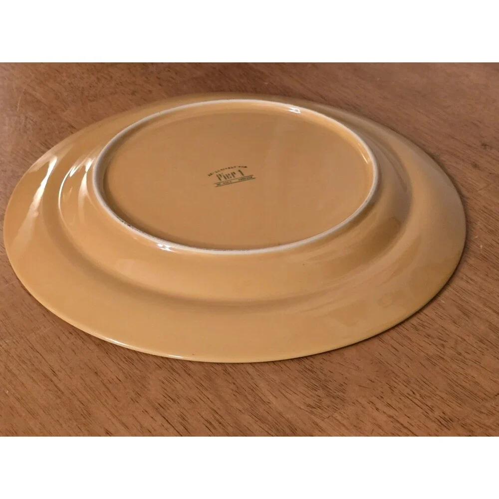 Pier 1 Imports Mesa Mustard Yellow Dinner Plate 11